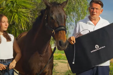 Pferdegesundheit revolutionieren mit Tesla Vital. Eine praktische Demonstration.