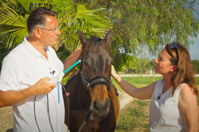 Von der Kundenmeinung zur Produktverbesserung!